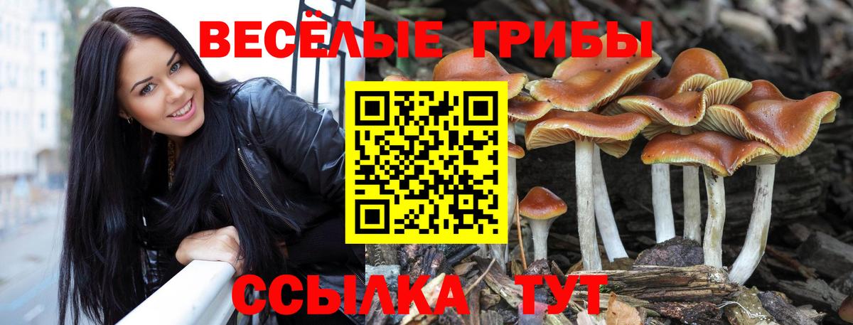 Псилоцибиновые грибы прущие грибы Надым